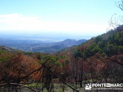 Castañar de la Sierra de San Vicente - Convento del Piélago;rutas por madrid y alrededores;ruta de